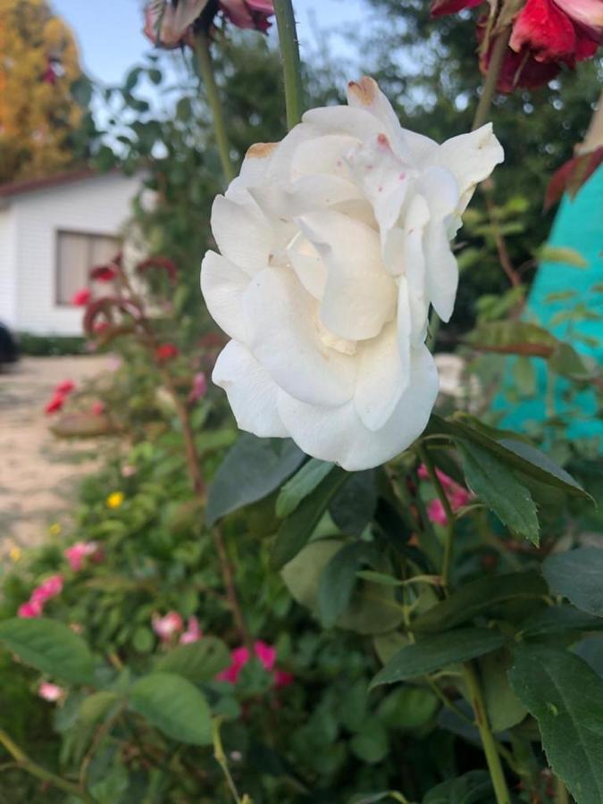 Apartamento Casas Y Departamentos En El Huerto De 