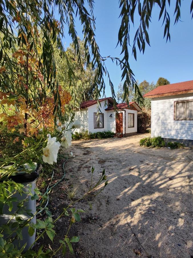 Casas Y Departamentos En El Huerto De 