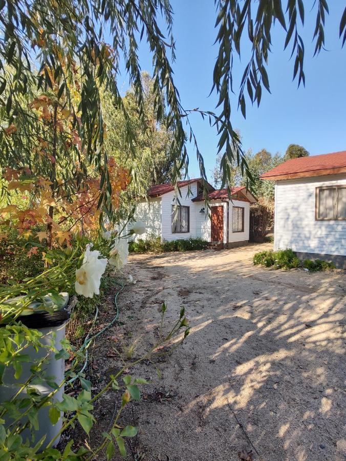 Casas Y Departamentos En El Huerto De 